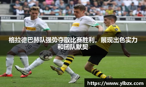 HAHABET平台
