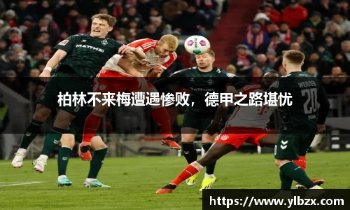 HAHABET网址