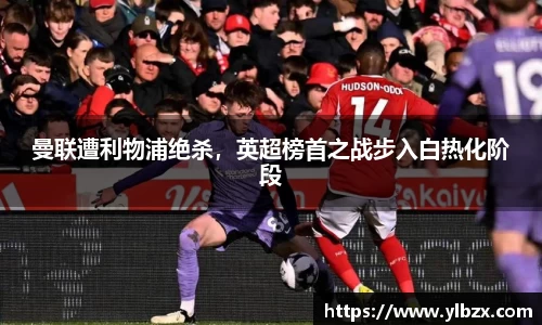 HAHABET官网