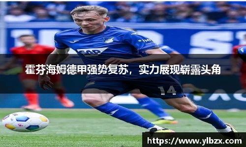 霍芬海姆德甲强势复苏，实力展现崭露头角
