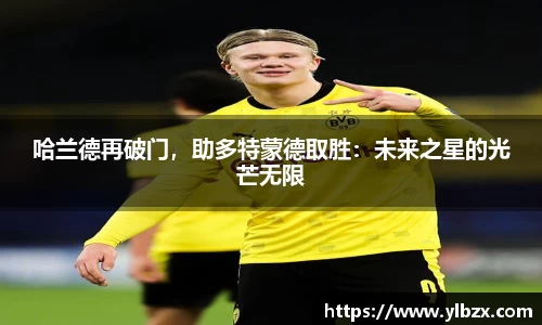 HAHABET平台
